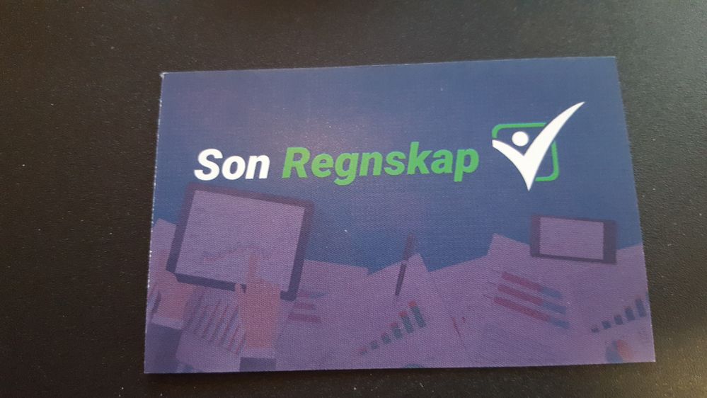 Son Regnskap.jpg