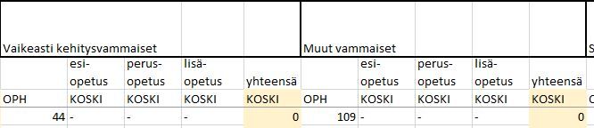 koski_vammaiset.JPG