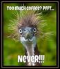 Kaffe_1.jpg
