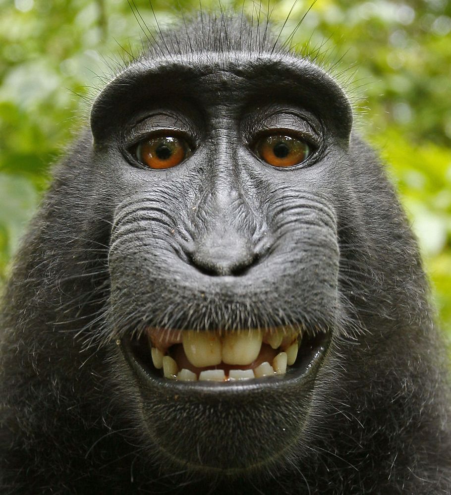 APE.jpg