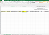 excel.PNG