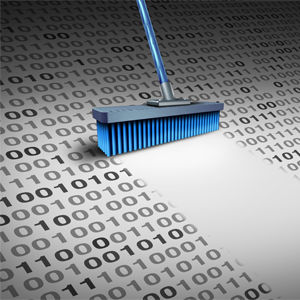 Slet-data-kost-300x300.png