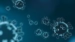 virus-4835301_1920.jpg