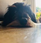 Profile (Annemarie02)