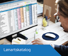Lonartskatalog standard december 2017-03.png