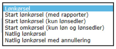 Lønkørsel_skærmbillede.png