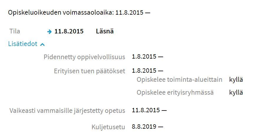 koski_vammaisuus.JPG