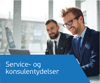 Service- og konsulentydelser-06.png