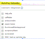 autopayUploader.GIF