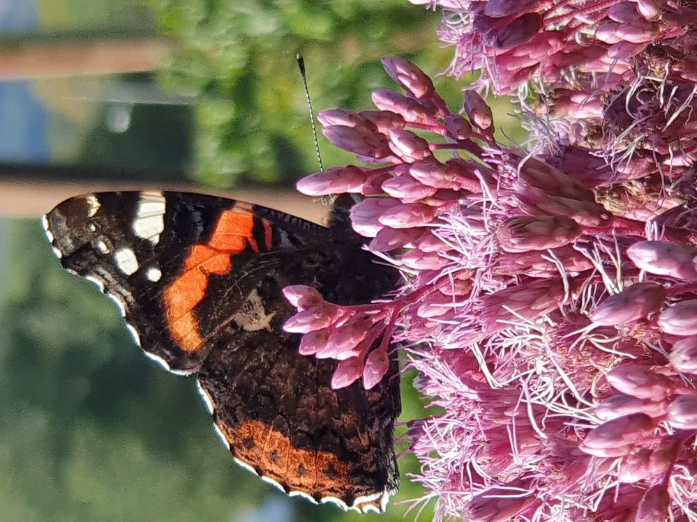 2019-09-22 14.44.10.jpg