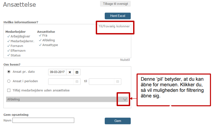 Navngivning af rapporter.PNG