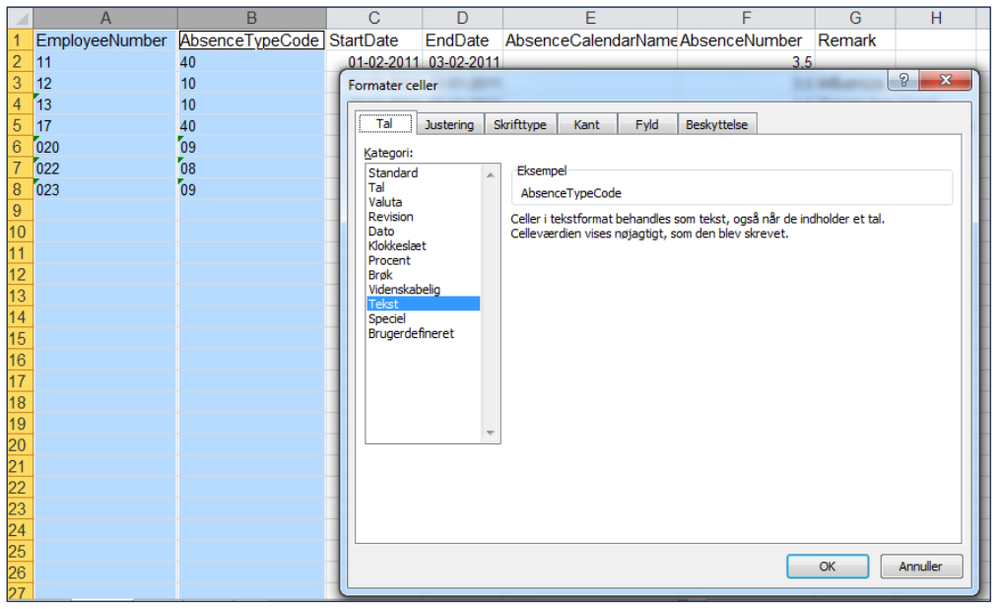 Talformattering - Visma HR.PNG
