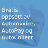Vi tilbyr gratis oppsett av tjenestene AutoInvoice, AutoPay og AutoCollect. Disse tjenestene ligger allerede tilgjengelig som en del av Visma-løsningen din, du trenger bare å aktivere dem. Dette kan vi gjøre for deg - helt gratis.