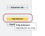 Elin Saubrekka_13-1590656055553.png