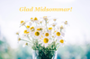 Glad midsommar.PNG