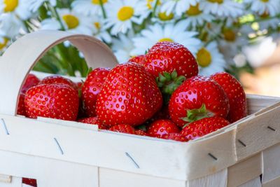 strawberries-4255928_1920.jpg