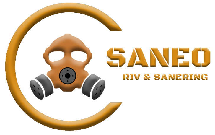 saneologo-transparent (1).png