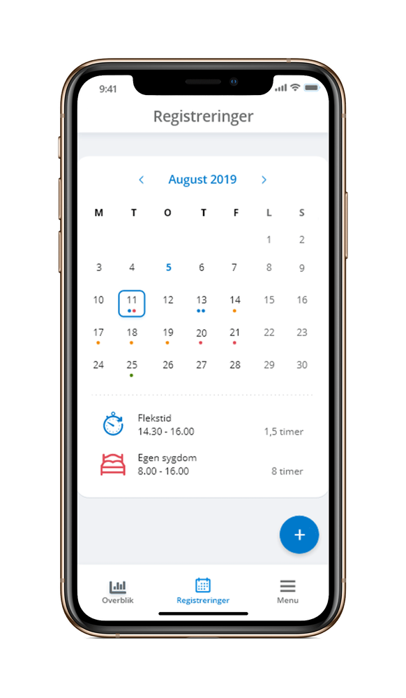 MyVismaApp_registreringer.png