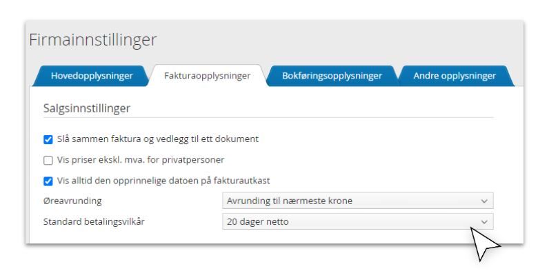 betalingsvilkår.JPG
