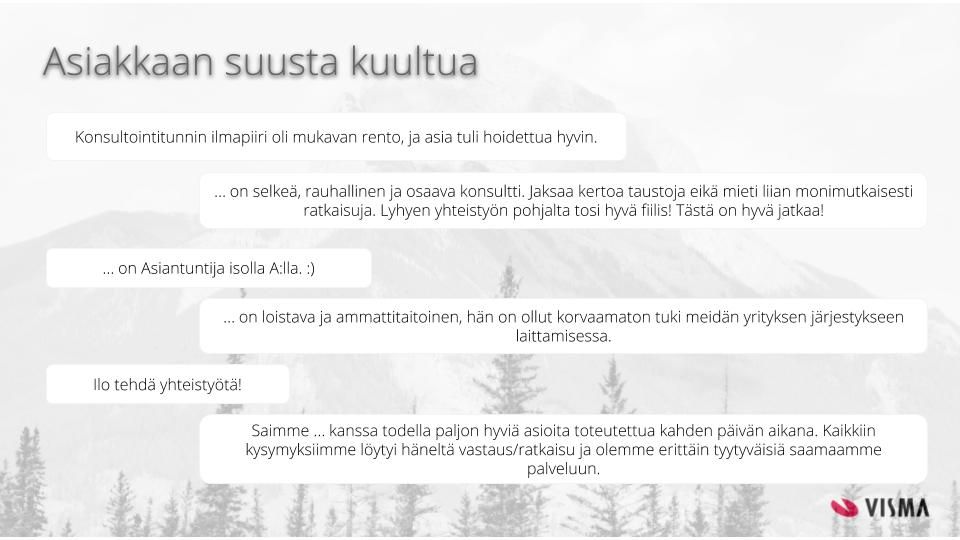 Meet the team Visma L7 Konsultointi ver25.jpg