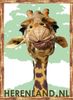 Giraffebord.jpg