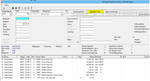 pasted image 0 (5).png