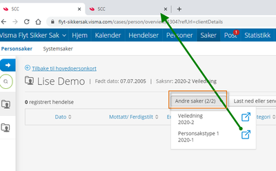 Personsak, flere saker.png