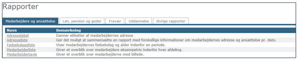 Rapporter_#2.PNG