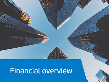 financial-overview-350x263l.jpg