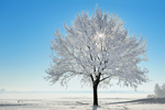 iStock_000022933457Medium2.png