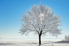 iStock_000022933457Medium2.png
