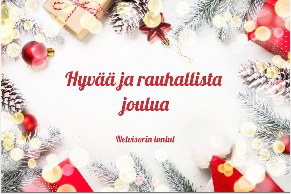 Hyvää ja rauhallista joulua teille kaikille. Toivottavat Netvisorin tontut