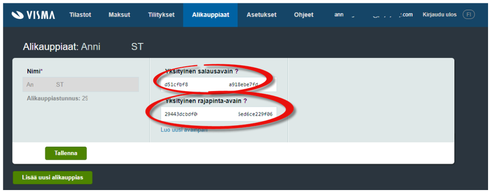 Vismapay3.png
