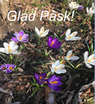 Glad Påsk 20211.png