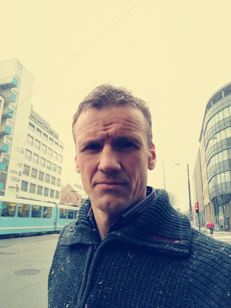 kow i storgata.jpg