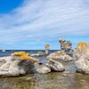 shutterstock_1579024312.jpg