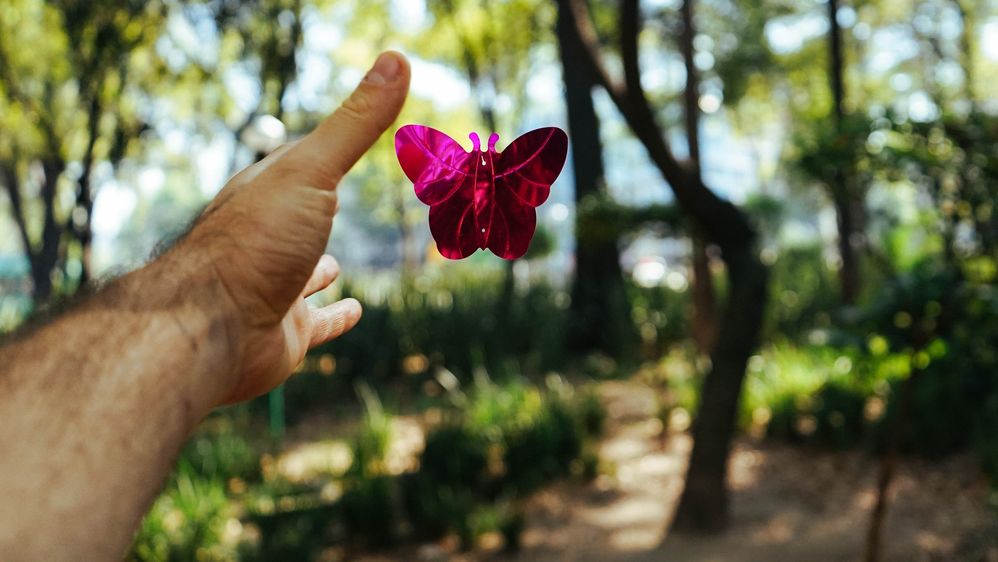 Photo by Dan Gold on Unsplash