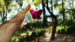 Photo by Dan Gold on Unsplash