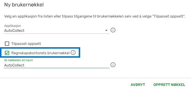 RF nøkkel.JPG