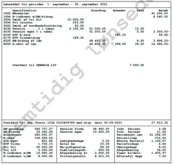lønseddelbillede1..JPG