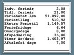 lønseddelbillede2..JPG