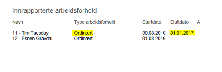 innrapportert arbeidsforhold 7.PNG