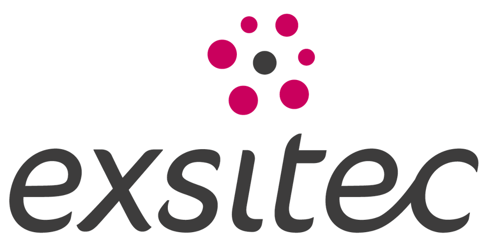 Exsitec_Logo_Rubine_RGB_L.png