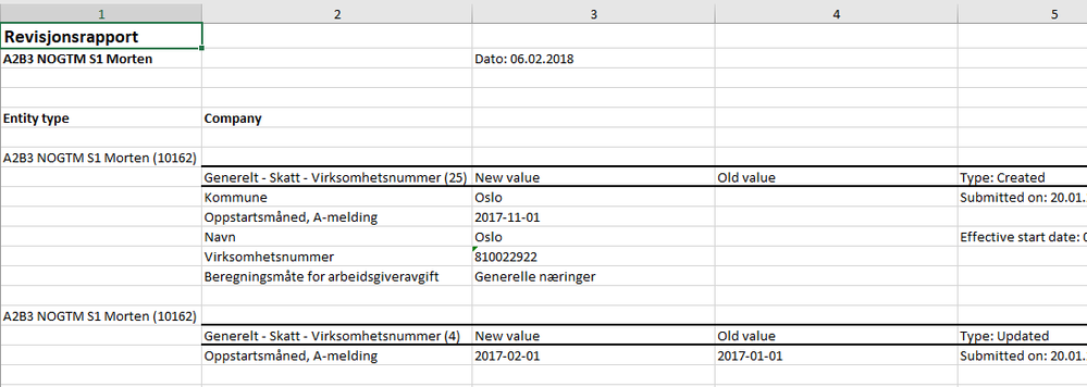revisjonsrapport.PNG
