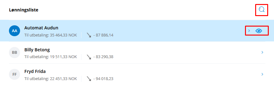 NGPSeLønnslipp.png