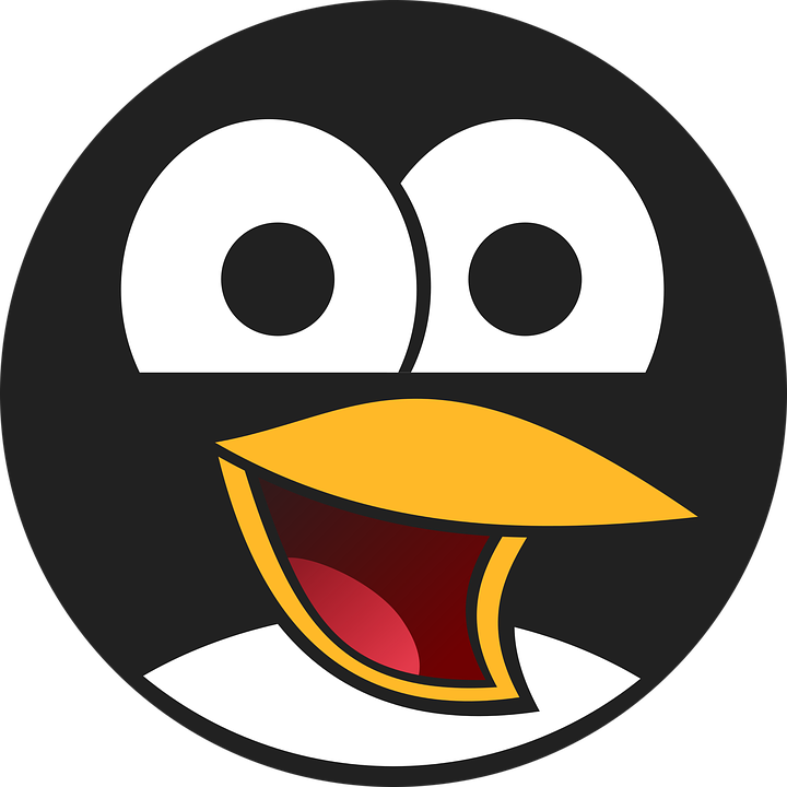 avatar-1295429_960_720.png