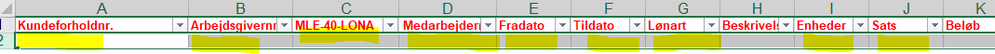 LouiseKousgaard_0-1643203507528.png