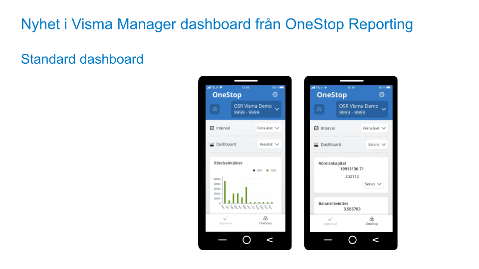 Visma Manager - Onestop Reporting