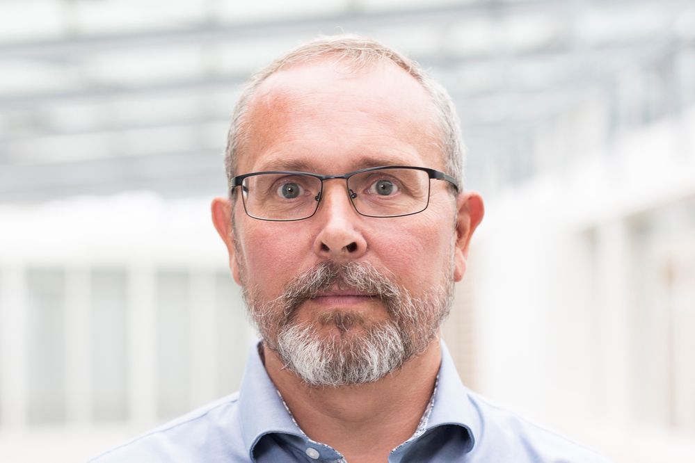 Knut.jpg