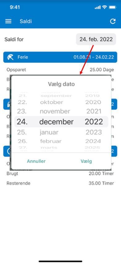 saldi app2.JPG